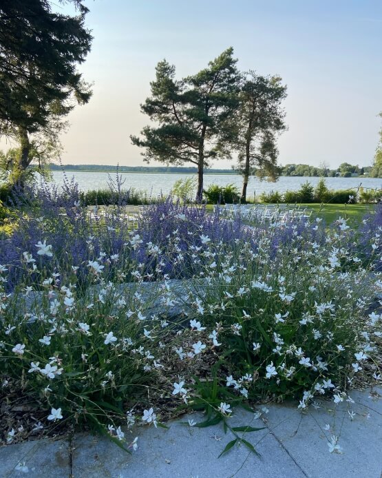 View of the Lakecroft ceremony site looking through white and purple flowers onto the lake